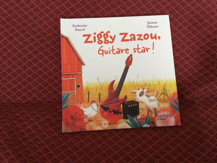 Ziggy Zazou, guitare star! - photo numéro 1