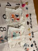 Jolies lot deux tee shirt animaux