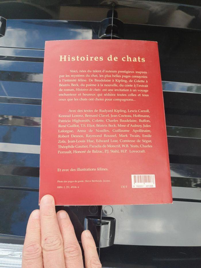 Livre Histoires de chat - photo numéro 5