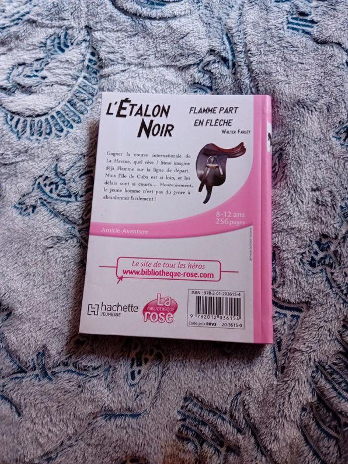 Livre l etalon noir - photo numéro 2