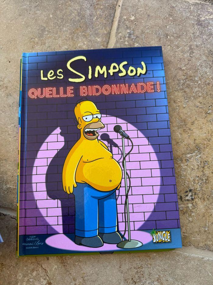 Lots livres simpson - photo numéro 9