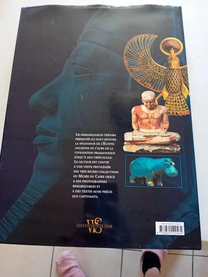 Livre egypte - photo numéro 2