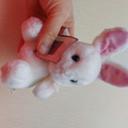 Petit lapin peluche