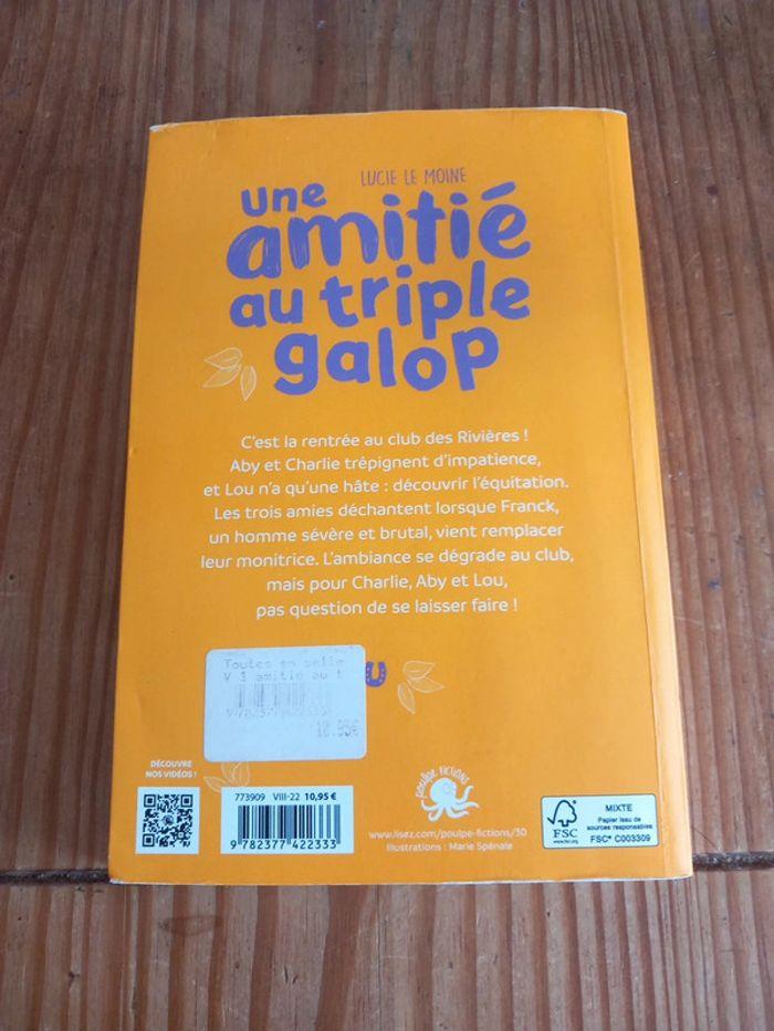 Une amitié au triple galop - photo numéro 2