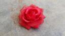 broche rose rouge