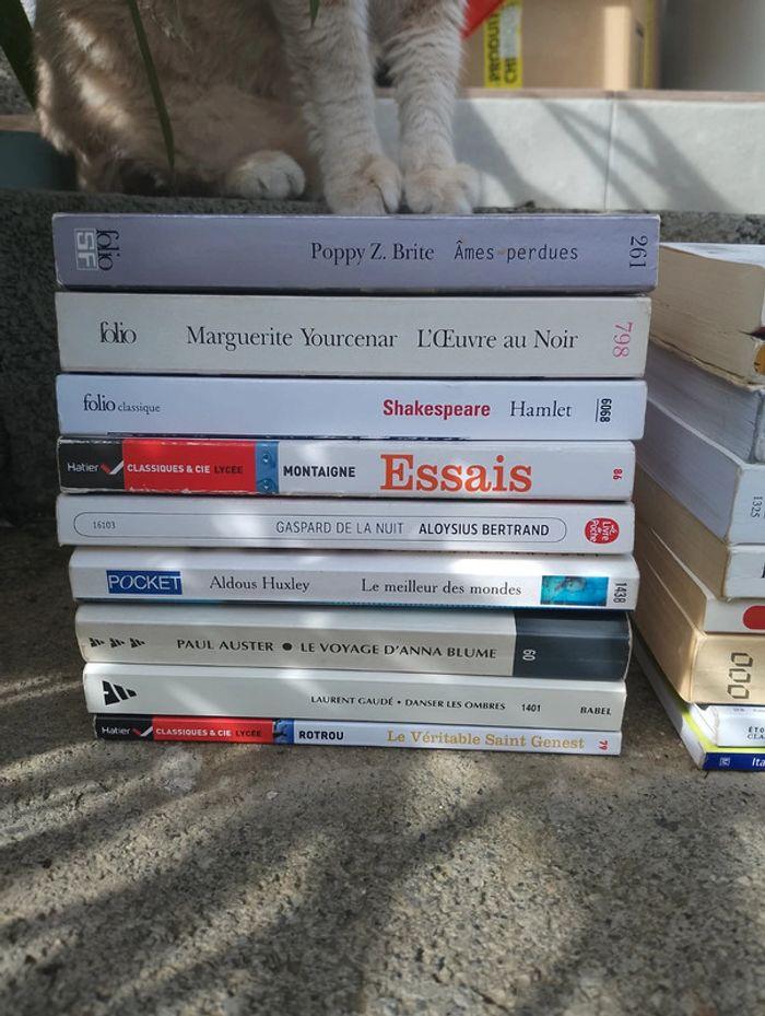 Lot livres classiques - photo numéro 3