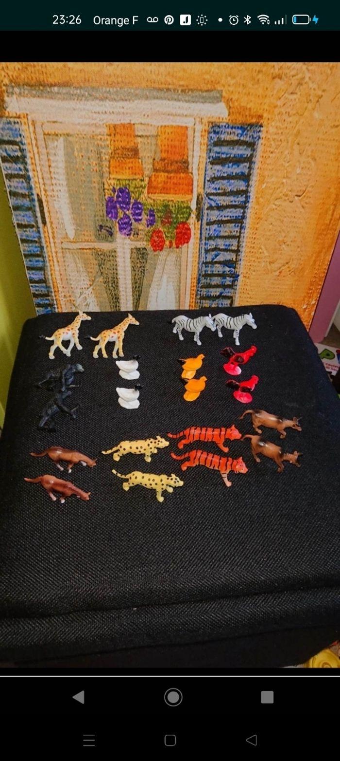 Jeu de paires 20 animaux Montessori