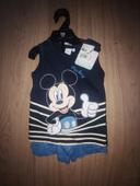 Ensemble Mickey