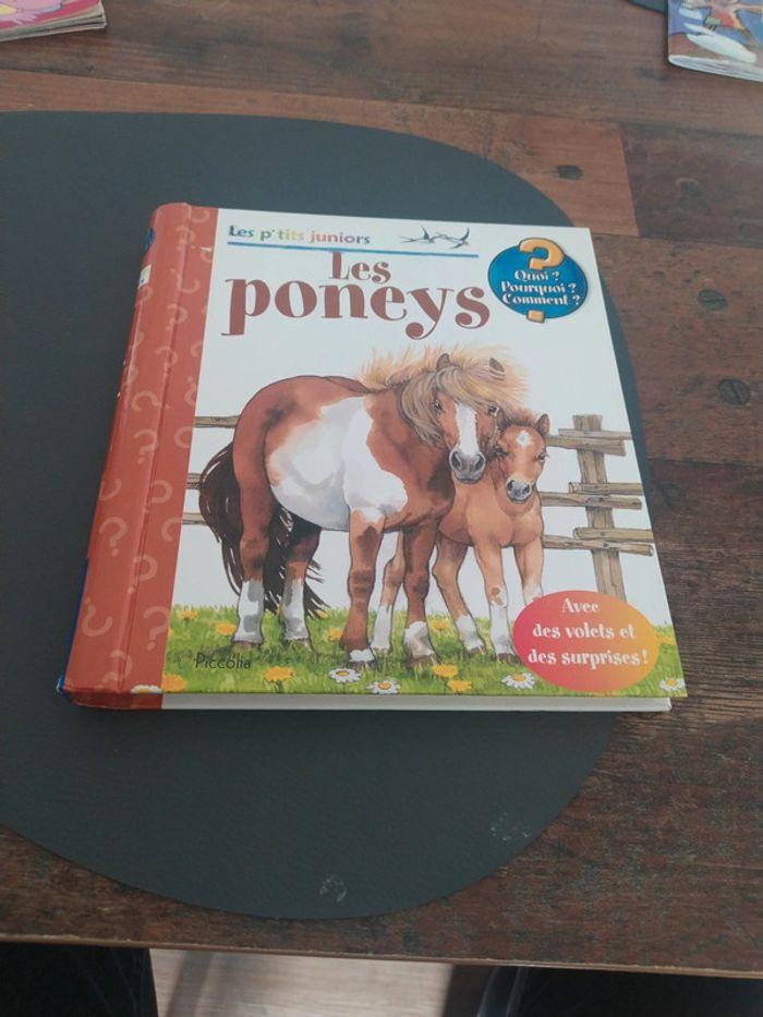 Les poneys - photo numéro 1