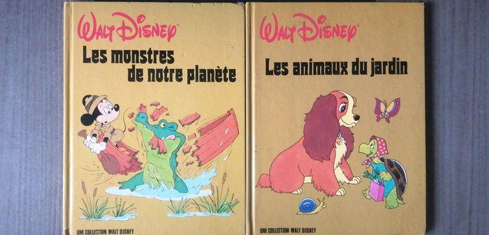 Lot livres Walt Disney - photo numéro 1