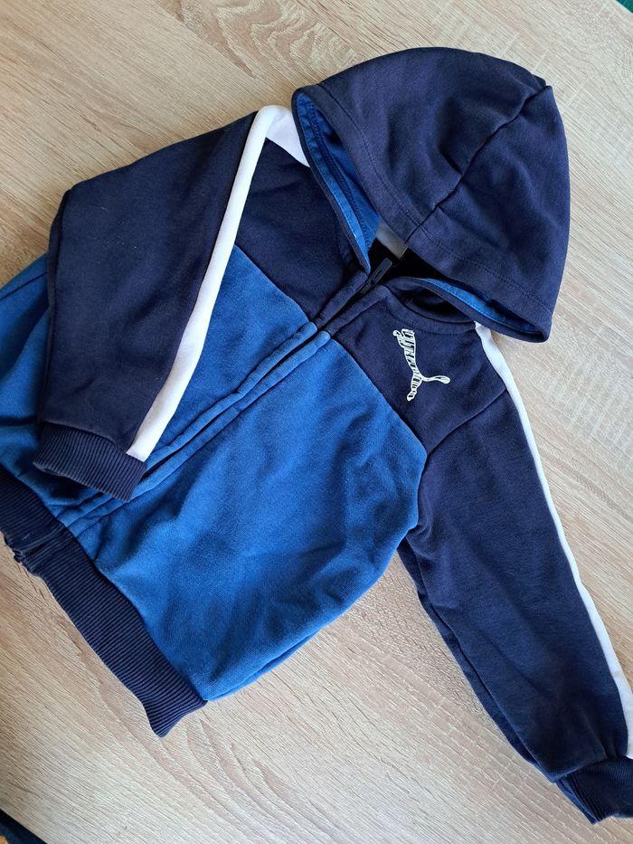 Gilets puma