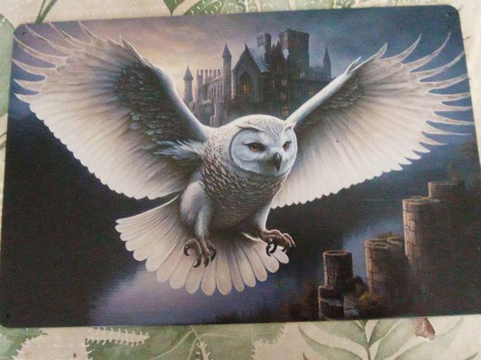 Plaque métal  hibou Edwige de Harry Potter - photo numéro 3