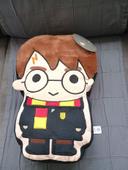 Coussin Harry Potter