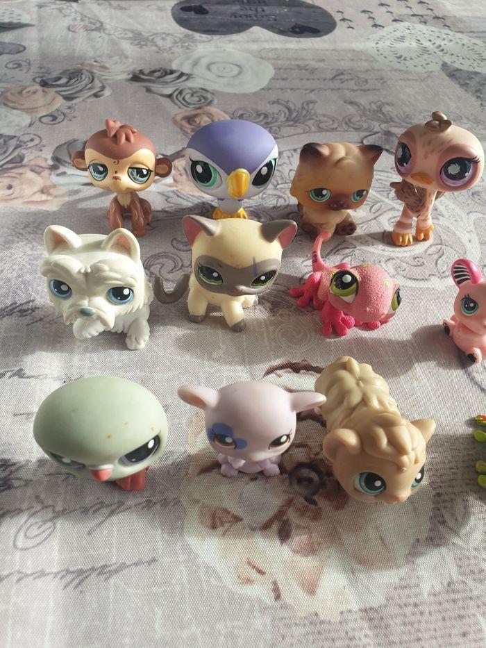 My little petshop - photo numéro 3