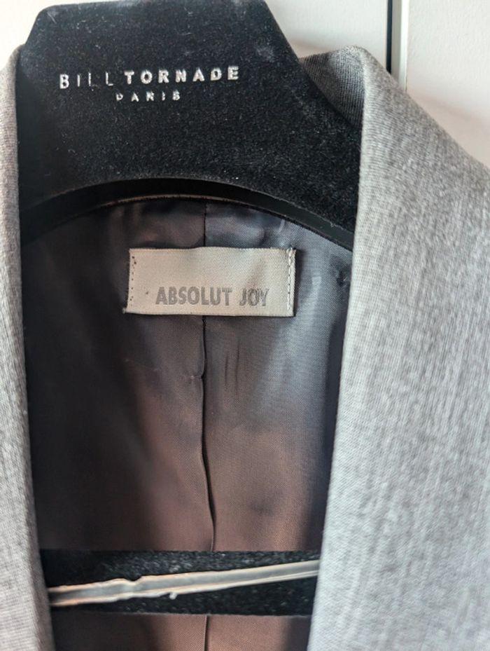 Blazer Absolut Joy taille L neuf sans étiquettes - photo numéro 2