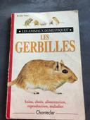 Chantecler - Les gerbilles