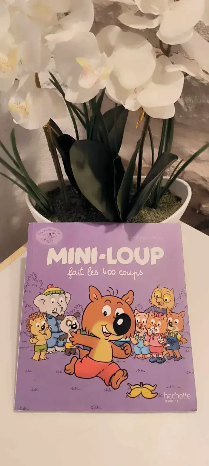 livre Les Aventures De Mini-Loup Tome 3 Mini-Loup Fait Les 400 Coups tbe - photo numéro 1