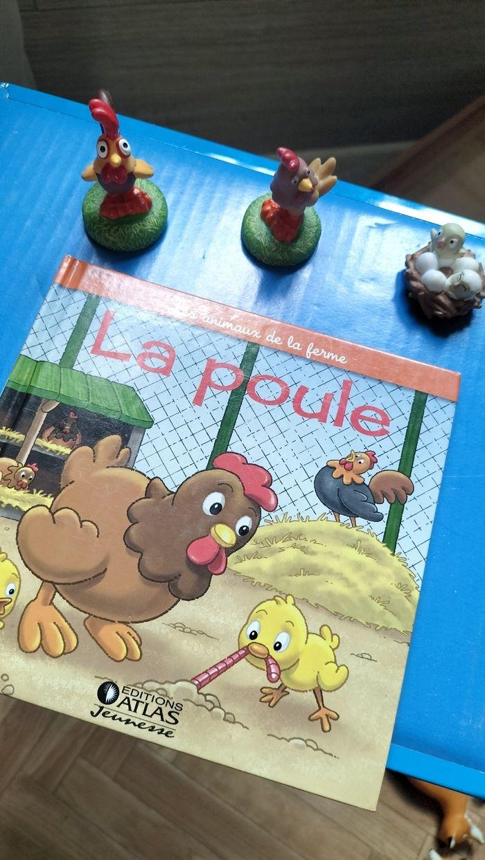 La poule Atlas - photo numéro 1