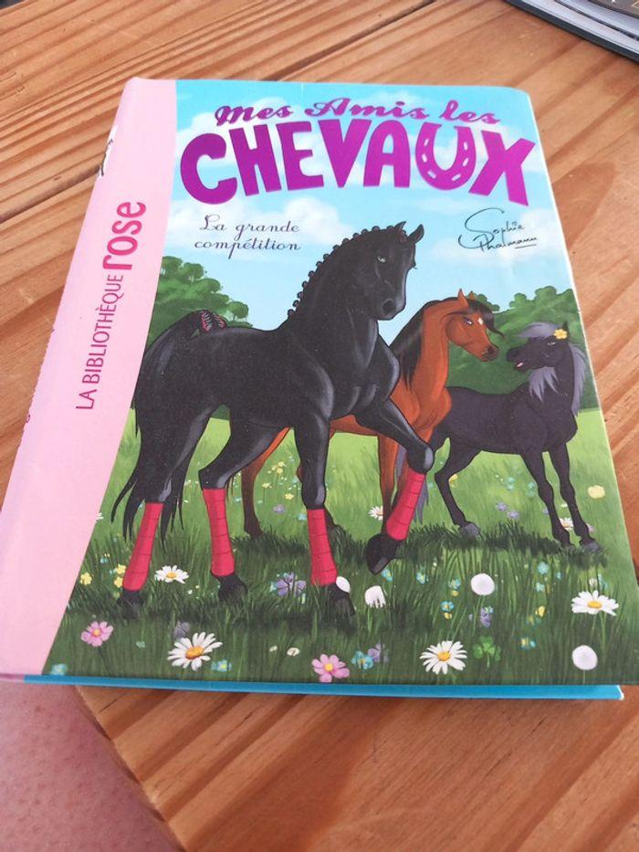 Mes amis les chevaux - photo numéro 1