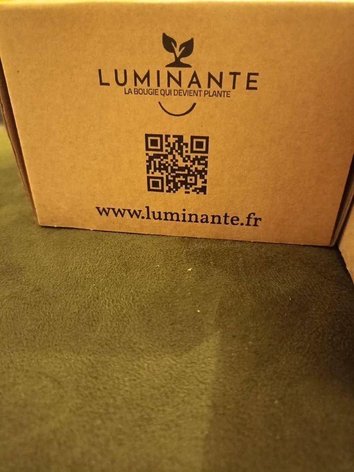 Bougie LUMINANTE 3 Parfums dispo - photo numéro 6