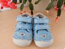 Baskets en toile barefoot DD Step motif koala