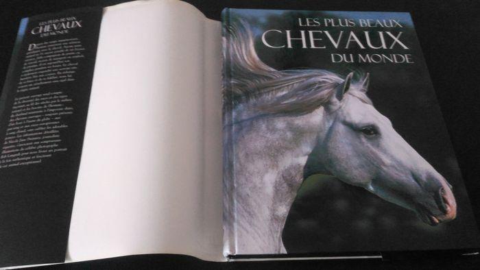 Livre sur les chevaux - photo numéro 1