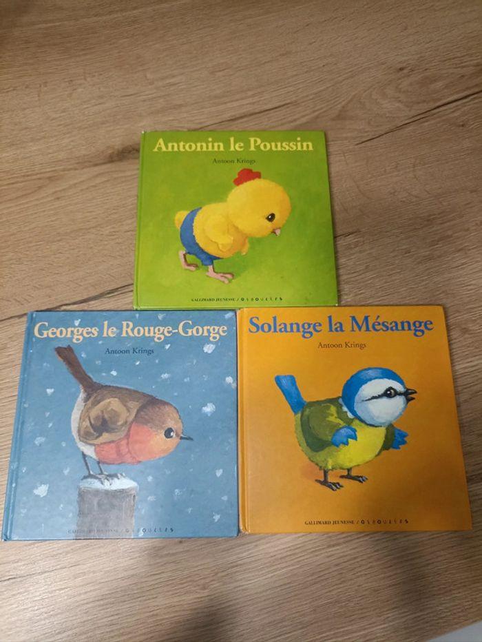 Lot 3 livres enfant "Drôles de petites bêtes"