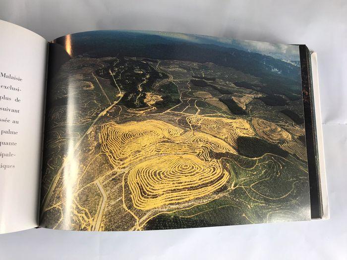 365 jours pour voir la terre. Yann Arthus Bertrand - photo numéro 5