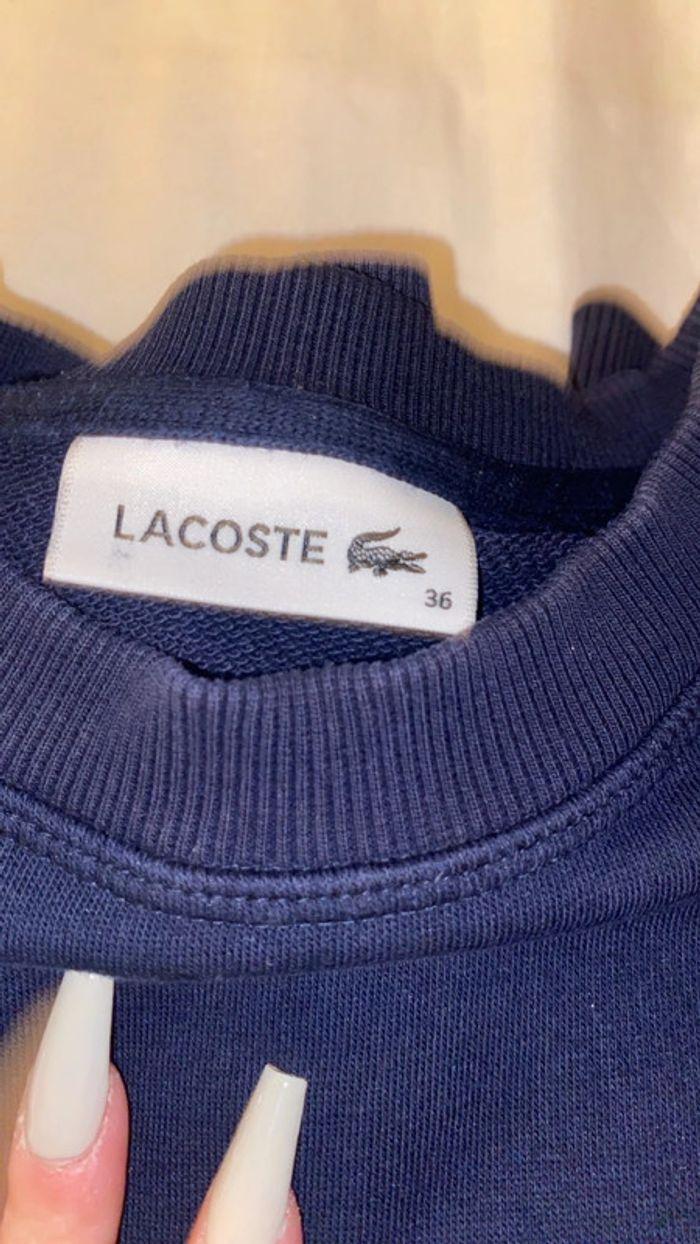 Ensemble Lacoste - photo numéro 4