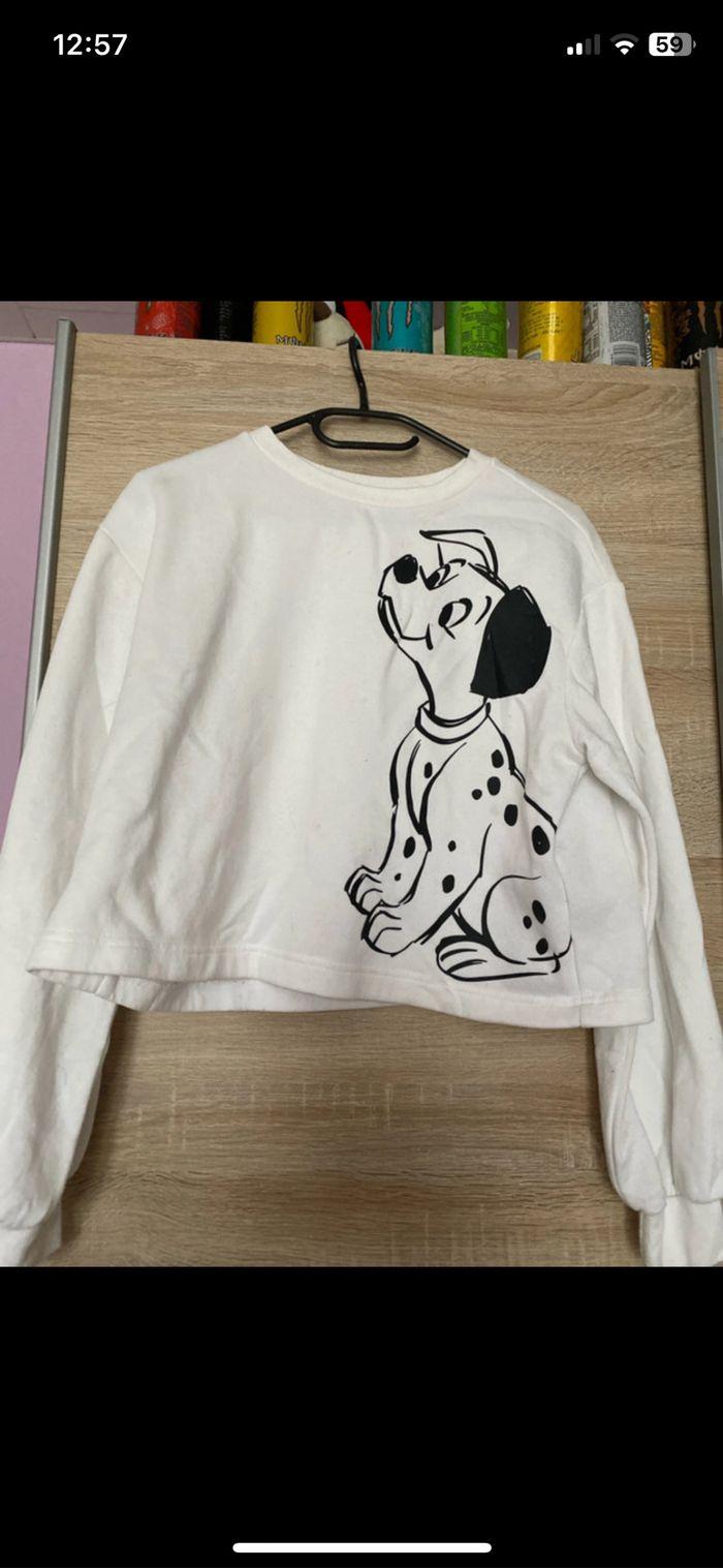 Sweat-shirt dalmatiens - photo numéro 1