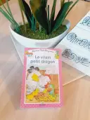 Livre Le Vilain Petit Dragon - ann rocard en tres bon etat