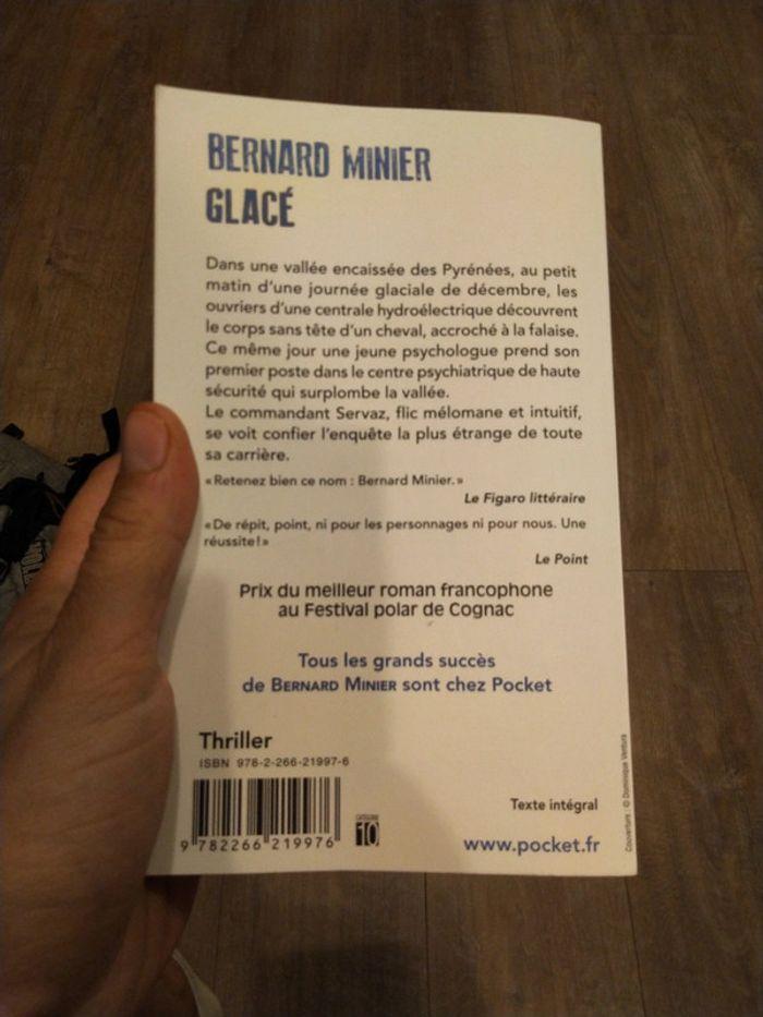 Glacé bernard minier - photo numéro 2