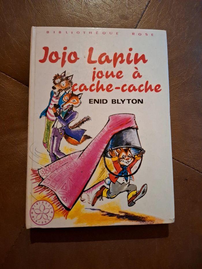 Jojo lapin joue à cache cache - photo numéro 1