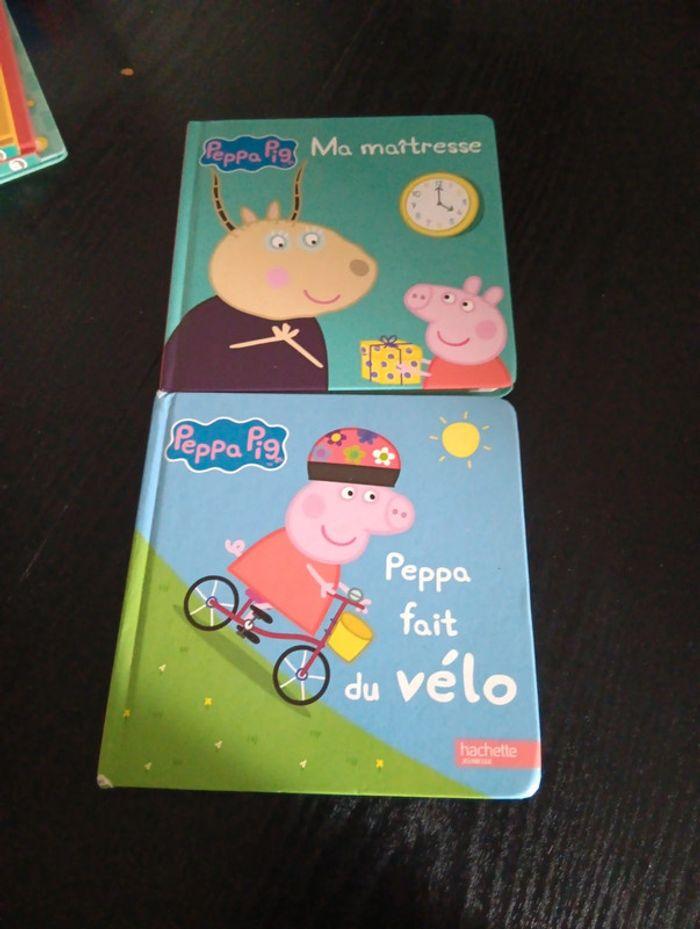 Lot 2 livres Peppa - photo numéro 1