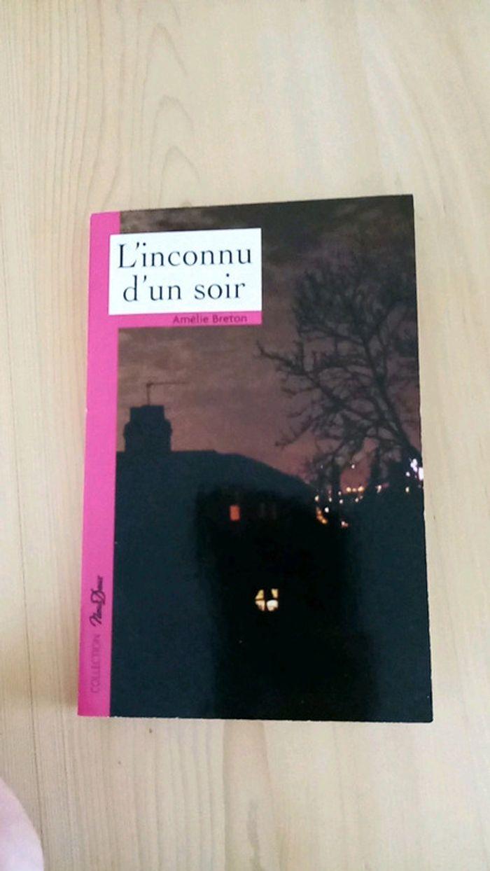 L'inconnu d'un soir - photo numéro 1