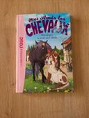 Livre n°13 "Moustique a mal aux dents" de Mes amis les chevaux"