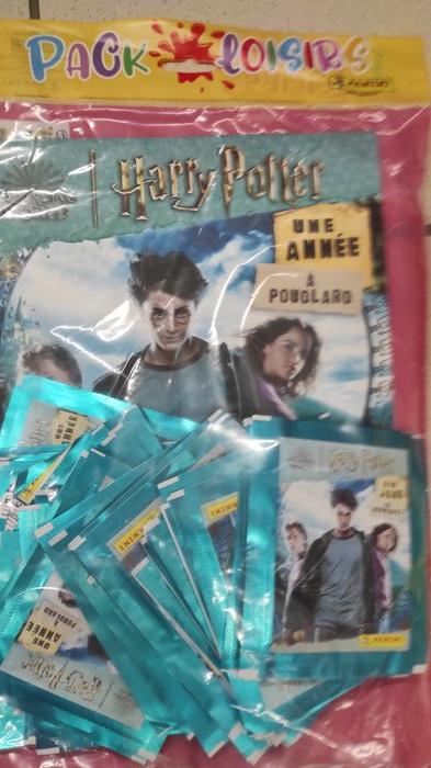 pack loisirs panini une année à poudlard (harry potter)