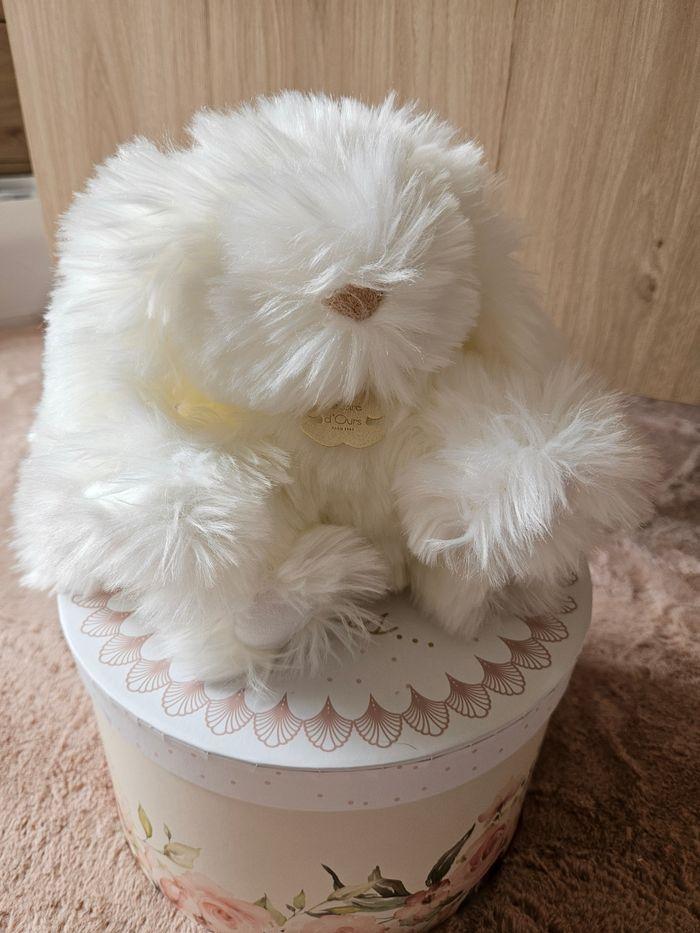 NEUVE PELUCHE HISTOIRE D'OURS TRES DOUCE - photo numéro 1