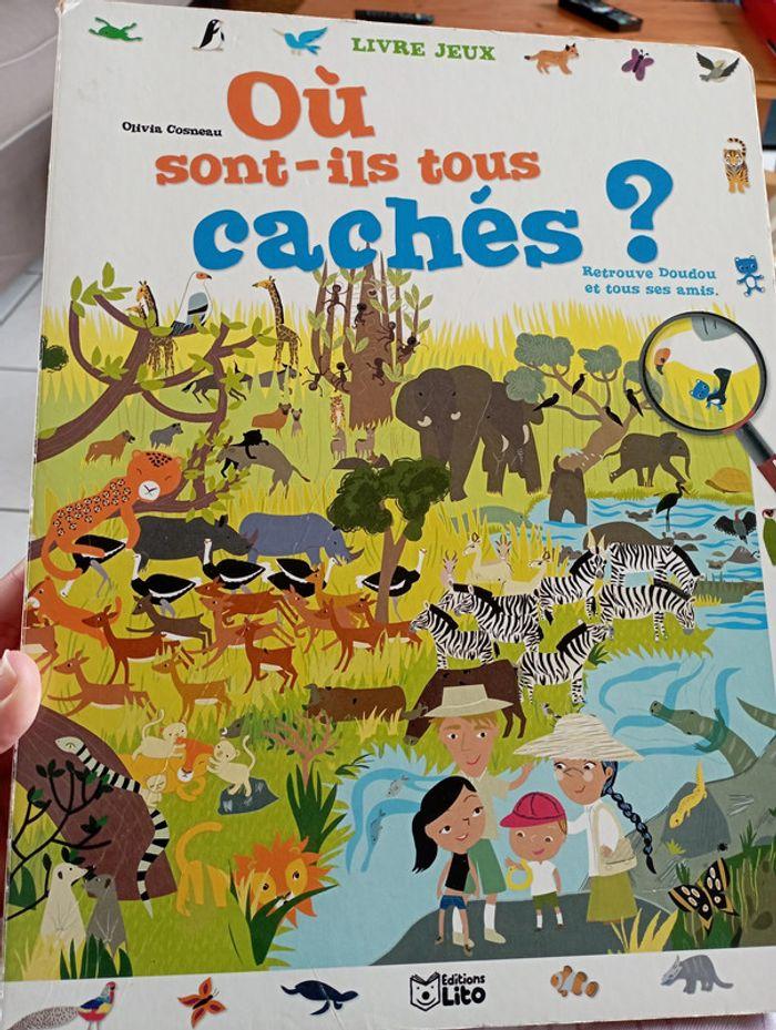 Livre où sont ils tous cachés ? - photo numéro 1