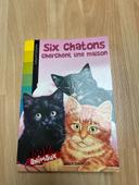 Six chatons cherche une maison 100 % animaux