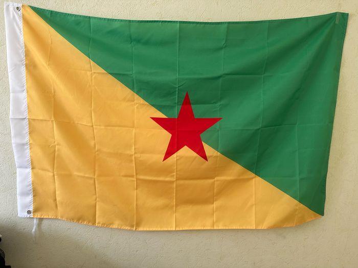 Grand drapeau Guyane 90x150cm NEUF 🇬🇫