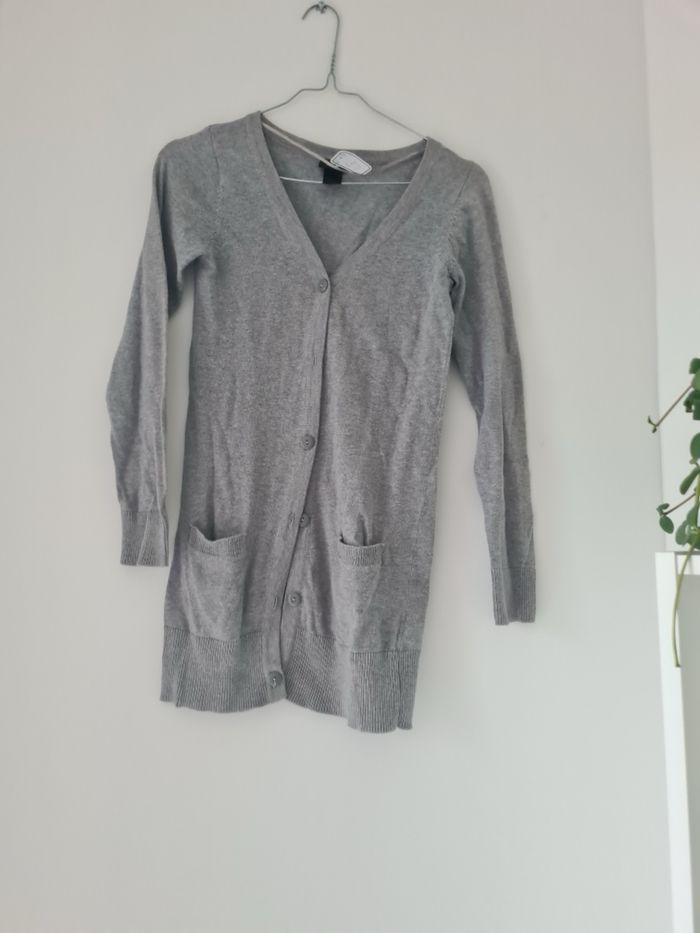 Gilet gris - photo numéro 1