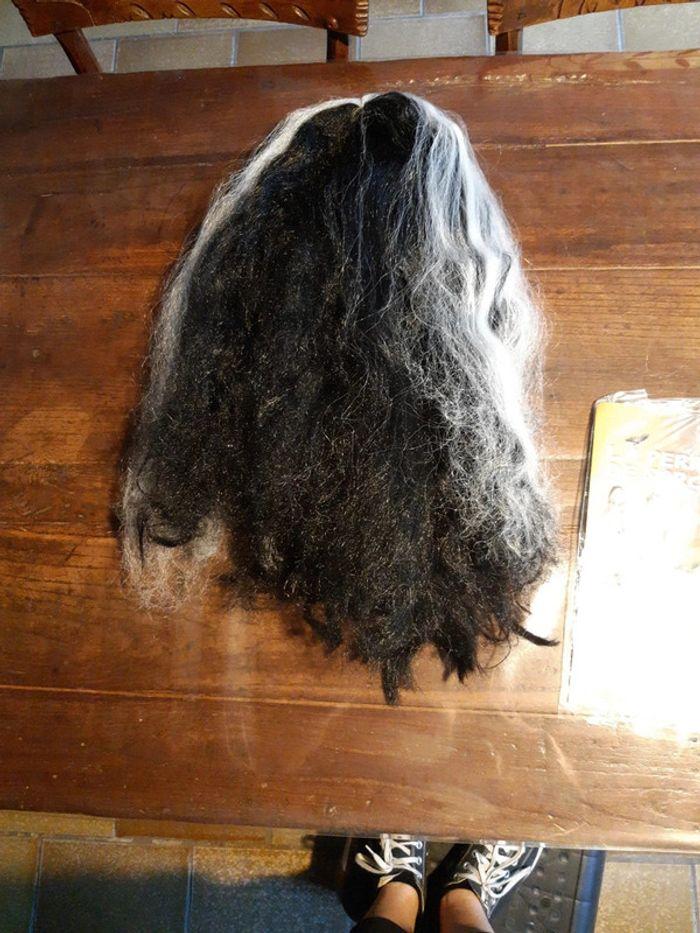 Perruque de sorcière  cheveux long noire et blanche  avec résille élastique - photo numéro 8