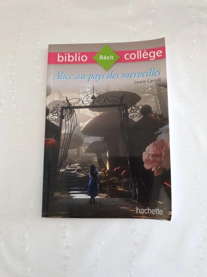 Livre collège - photo numéro 1