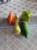 Légumes