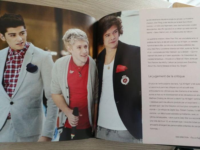 Livre 1D One & Only - photo numéro 3