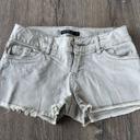 Short gris teddy smith