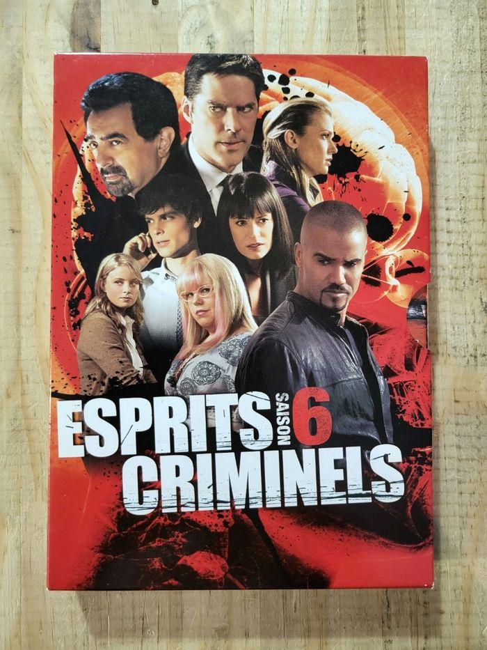 Esprits criminels dvd - photo numéro 7