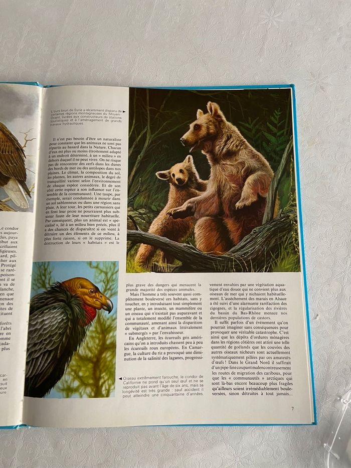 Livre ancien les animaux en voie de disparition 1972 - photo numéro 8