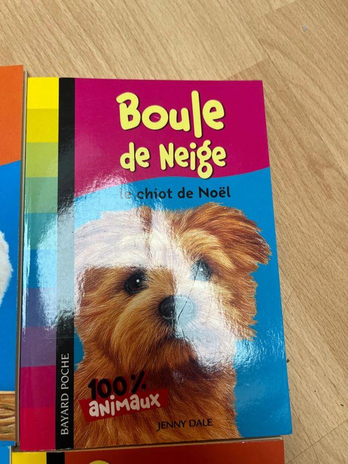 Livre 100 % animaux - photo numéro 4